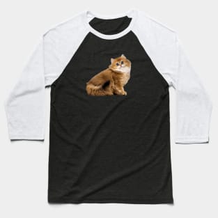 British Longhair Cat Kitten Baseball T-Shirt